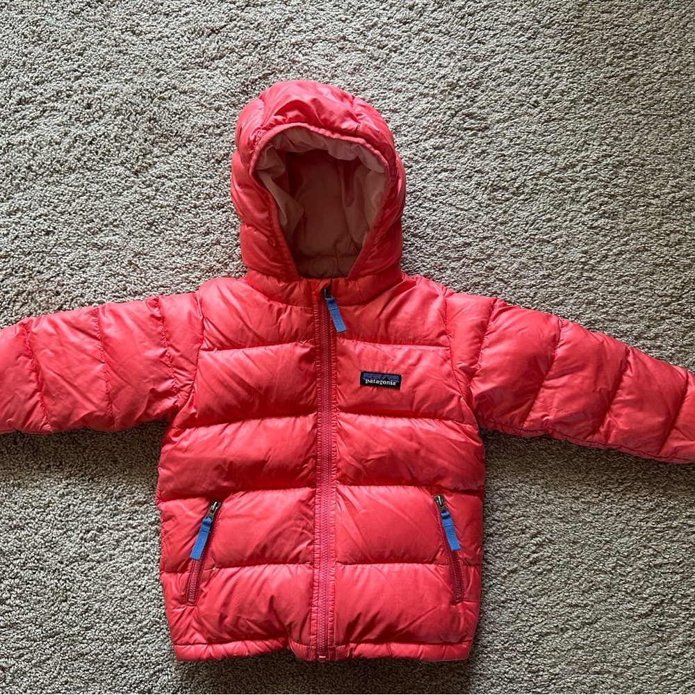 Patagonia hi loft down coat